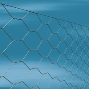 Galv 25mm Dia Wire Netting