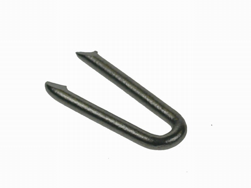 Staples 10mm Galv Box (2000) English Brothers Ltd