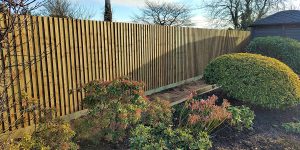 View Details  about the article Fencing